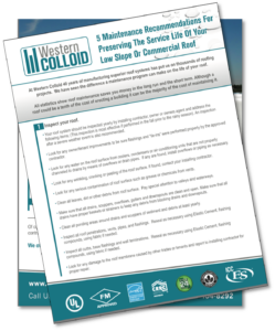 roof maintenance tips