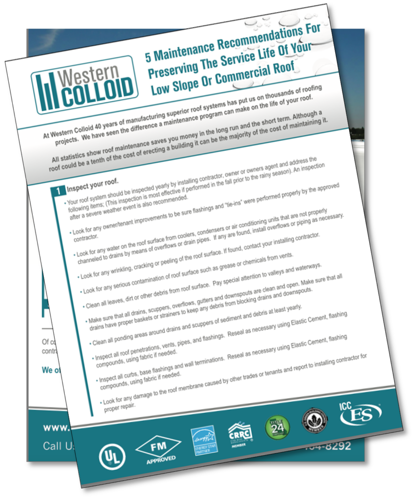 roof maintenance tips