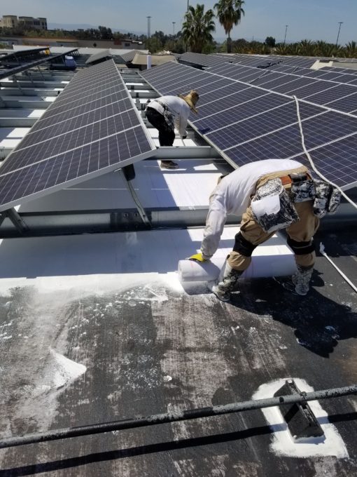 California Department Store Solar Challenge