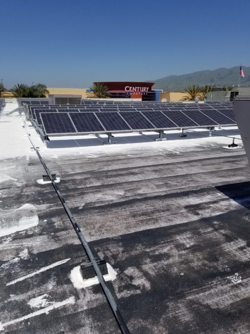 California Department Store Solar Challenge