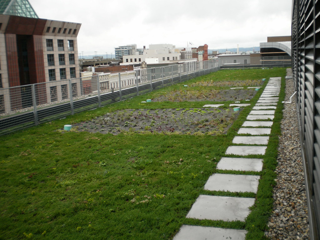 Green Farm on Roof Denver