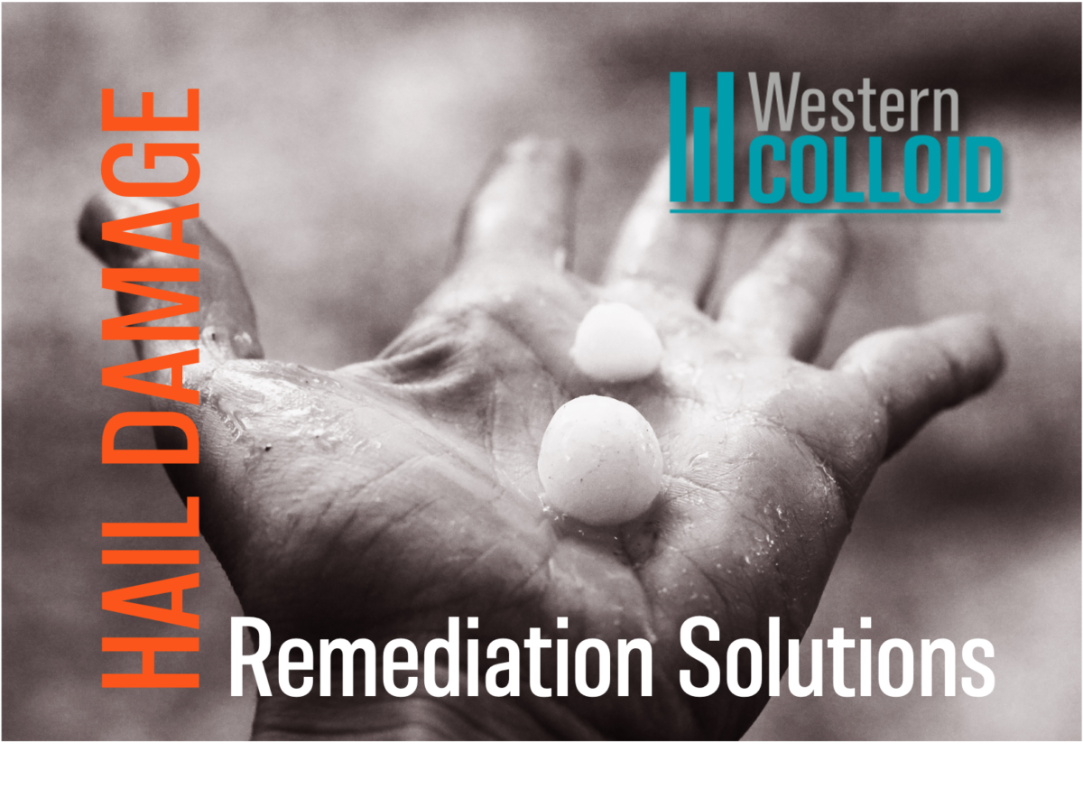 hail damage remediation